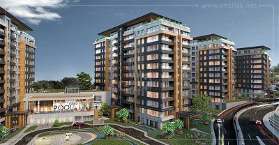 ساكن الواحة الخضراء